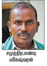 மேய்ச்சல் மாடுகள்! சிறுநீர், சாணம் விற்பனைமூலம் வருமானம்!
