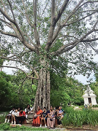 சென்னை அடையாறில் உள்ள போதி மரம்...