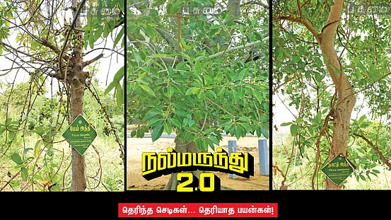 நல்மருந்து