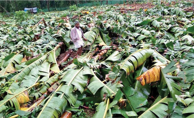 நிலைகுலைந்த மலைகளின் ராணி!