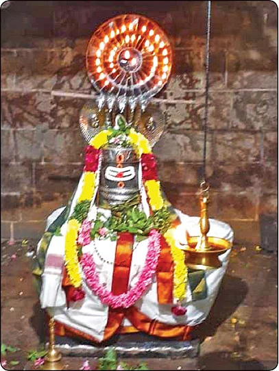 அருள்மிகு திருப்பாம்புரநாதர்