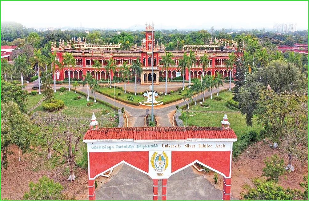 அதிகார யுத்தம்... அலறும் ஊழியர்கள்!