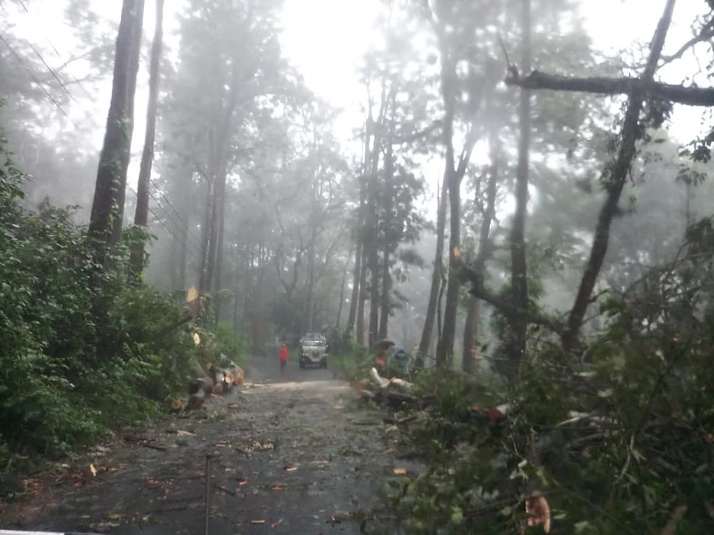 mist and rain