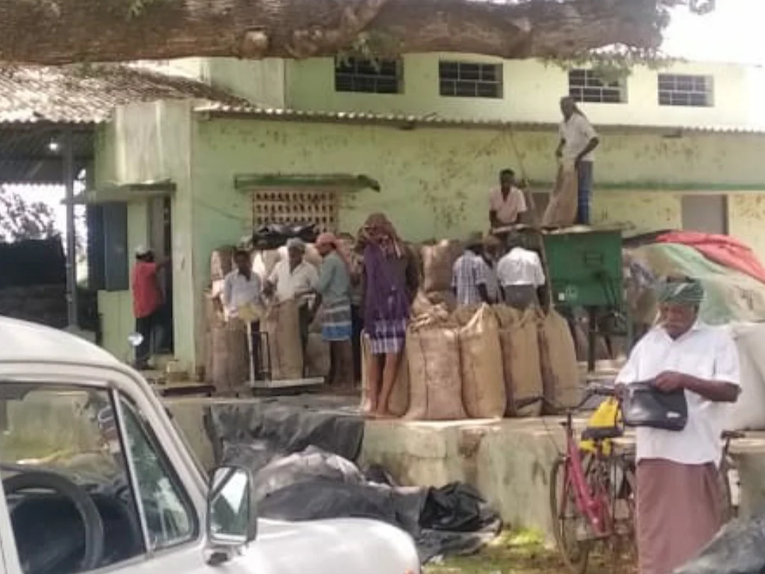 தஞ்சை: `தராசு மூலம் முறைகேடு; சிக்கவைத்த விவசாயியின் எடை!’ - நெல் கொள்முதல் நிலைய அதிர்ச்சி