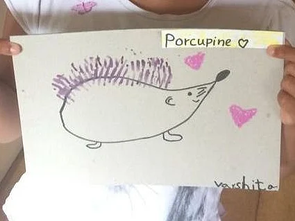 Spooky Porcupine