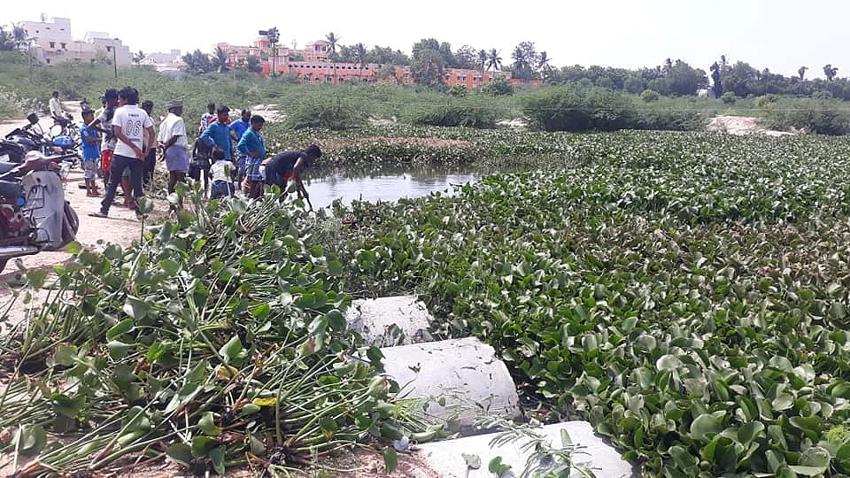 ஆகாயத்தாமரையை அகற்றும் இளைஞர்கள்