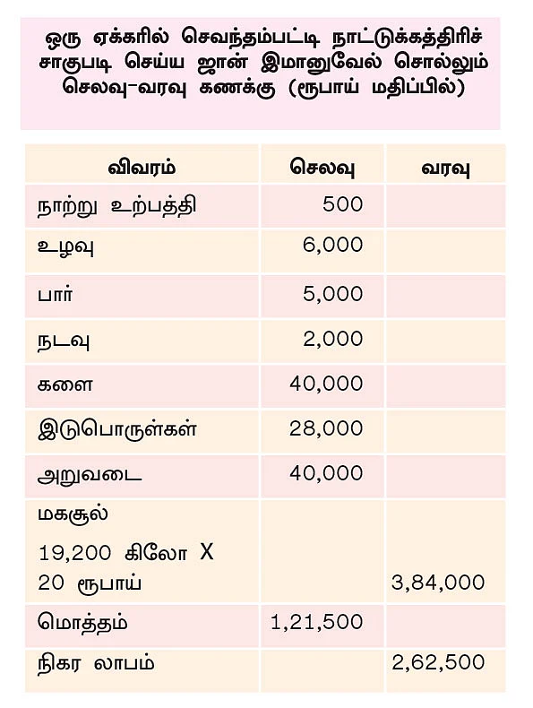 ஒரு ஏக்கர்... 2,62,000 ரூபாய்! - செம்மையான லாபம் தரும் செவந்தம்பட்டி நாட்டுக் கத்திரி!