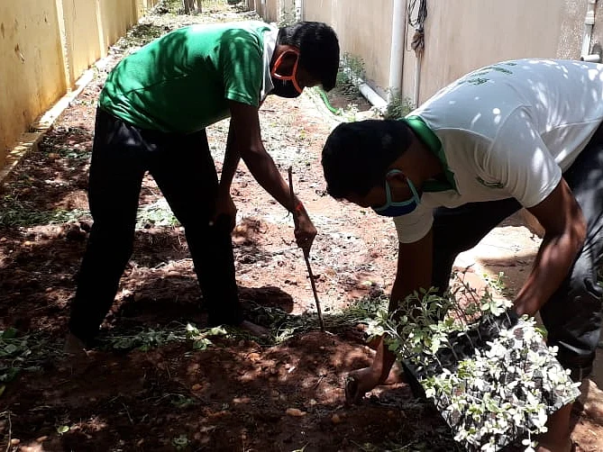 கரூர்: `யாருக்கும் சத்துக்குறைபாடு இருக்கக்கூடாது! பள்ளியில் காய்கறித் தோட்டம் அமைத்த தலைமை ஆசிரியர்
