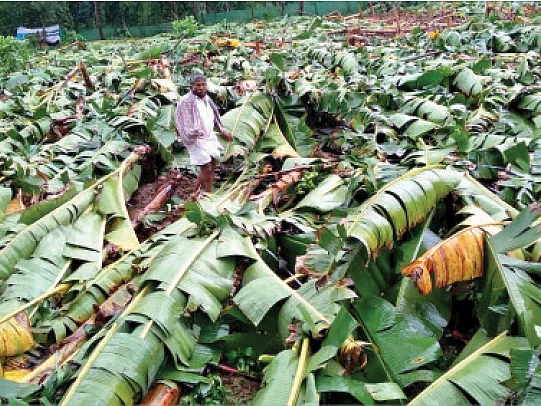 நிலைகுலைந்த மலைகளின் ராணி!