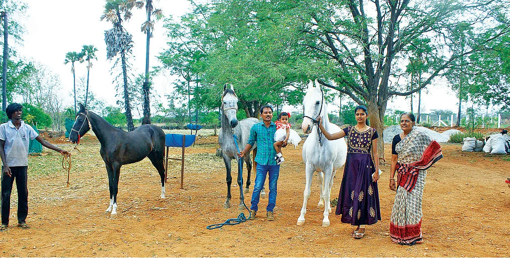 குடும்பத்தினருடன் குதிரைகள்