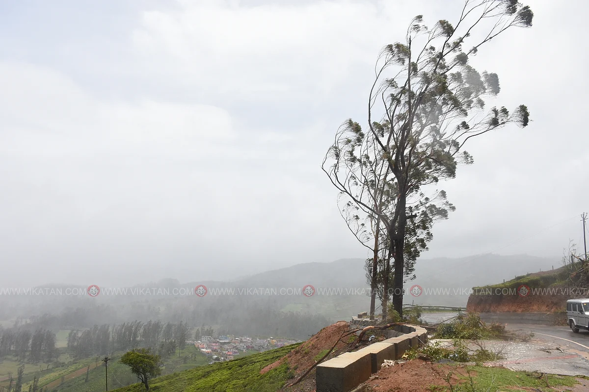 Heavy winds threaten to uproot roadside trees.