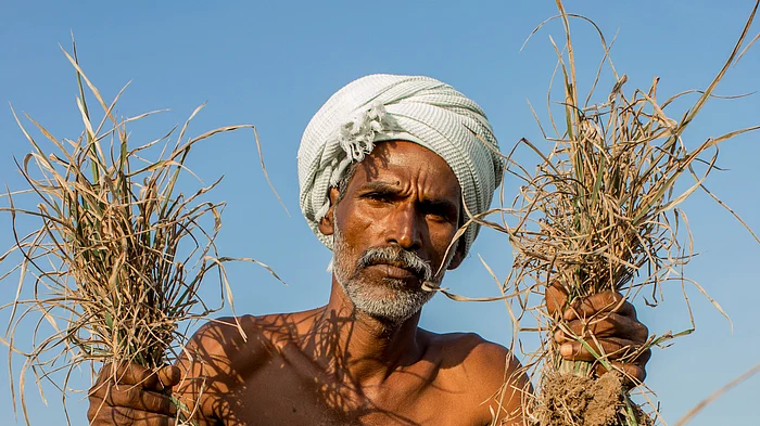 விவசாயி