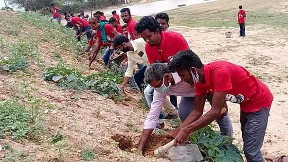 பனைவிதைகள் விதைக்கும் இளைஞர்கள்
