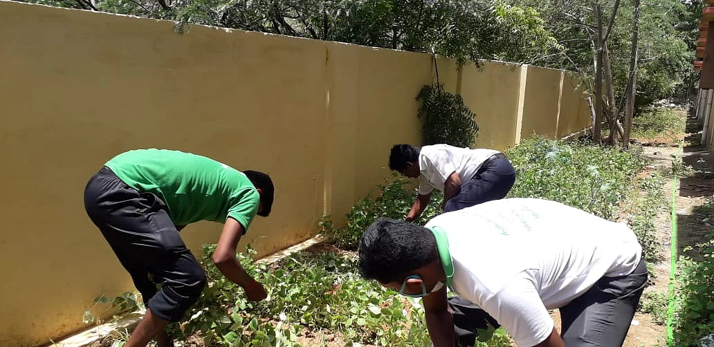 காய்கறித் தோட்டம் அமைக்கும் பணியில்