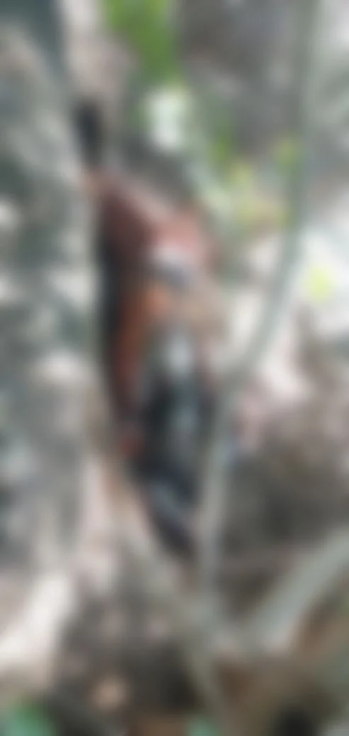 சாமியார் சரவணன்