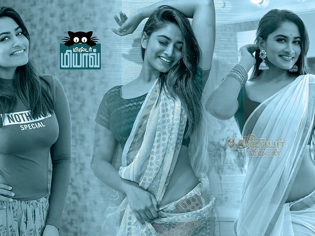 மிஸ்டர் மியாவ்