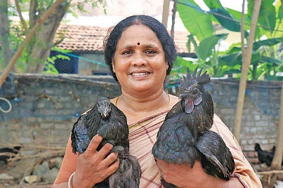 கால்நடை: மாதம் 1,00,000 ரூபாய்! பட்டையைக் கிளப்பும் பால், முட்டை, கோழி!