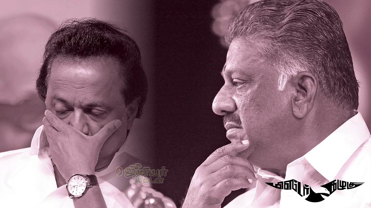 மிஸ்டர் கழுகு