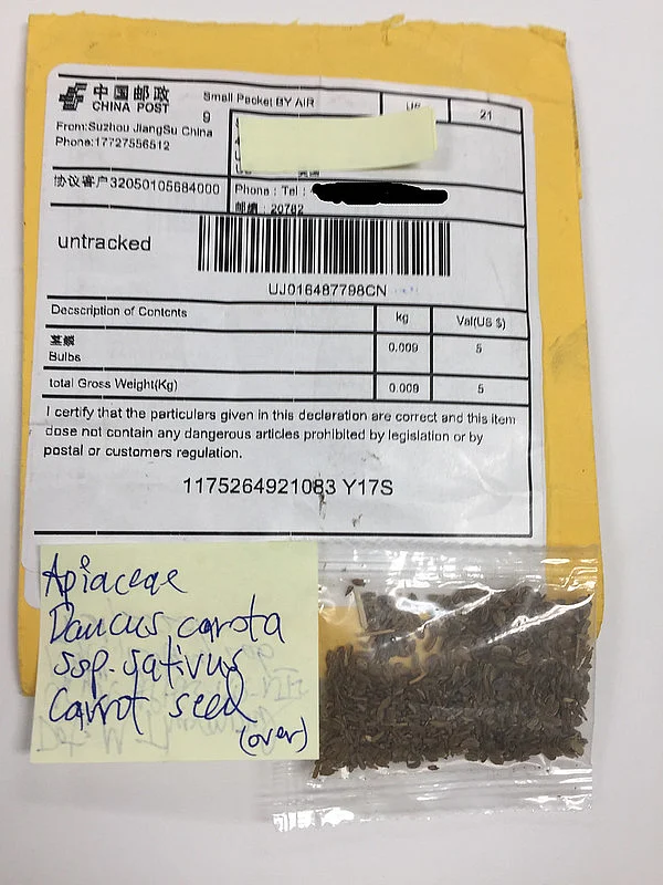 Unsolicited seeds, labeled as things like jewelry and beads, have arrived in mailboxes around the nation, prompting investigation by the U.S Department of Agriculture (USDA).