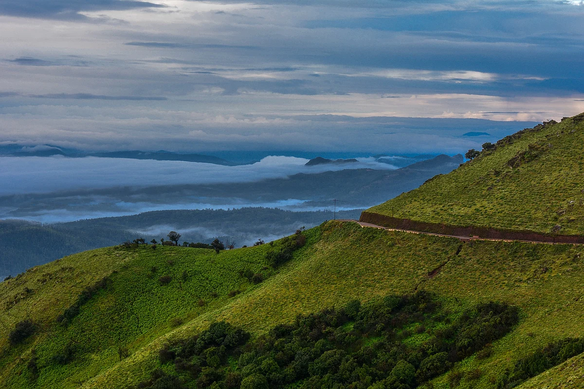 மேற்குத்தொடர்ச்சி மலை