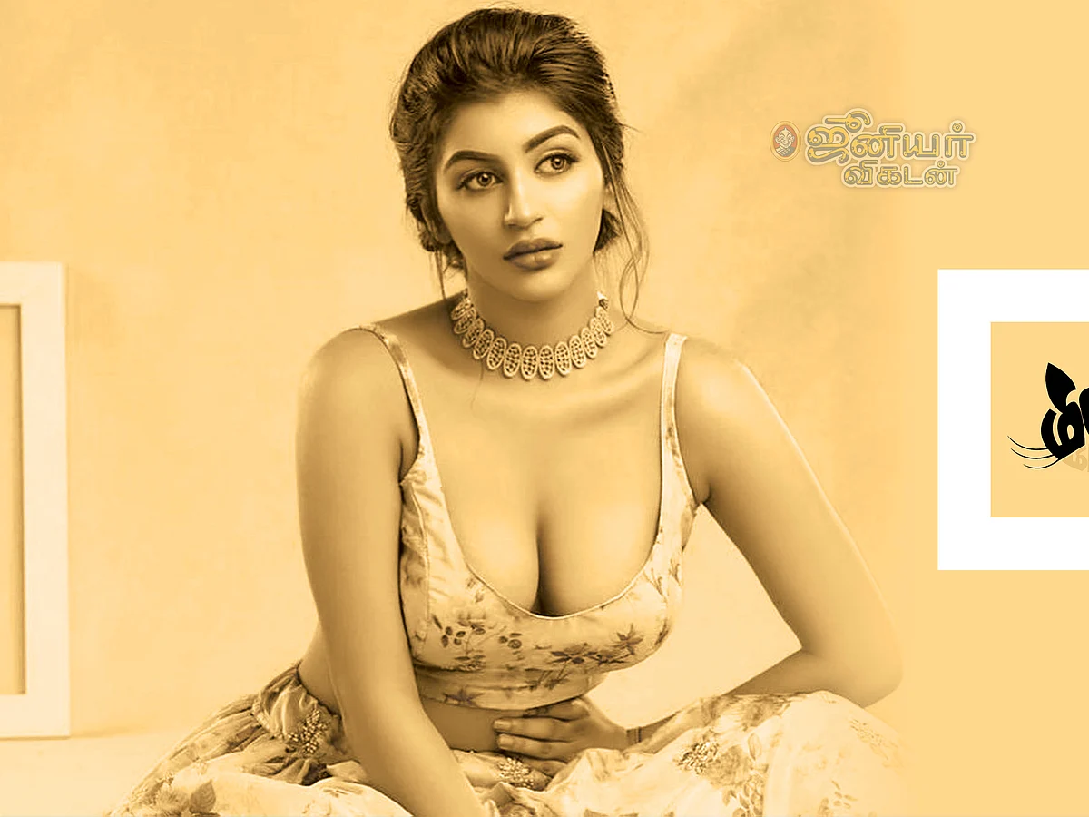 மிஸ்டர் மியாவ்