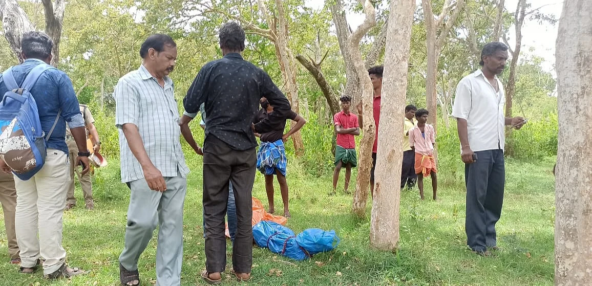 புலித் தாக்குதல்