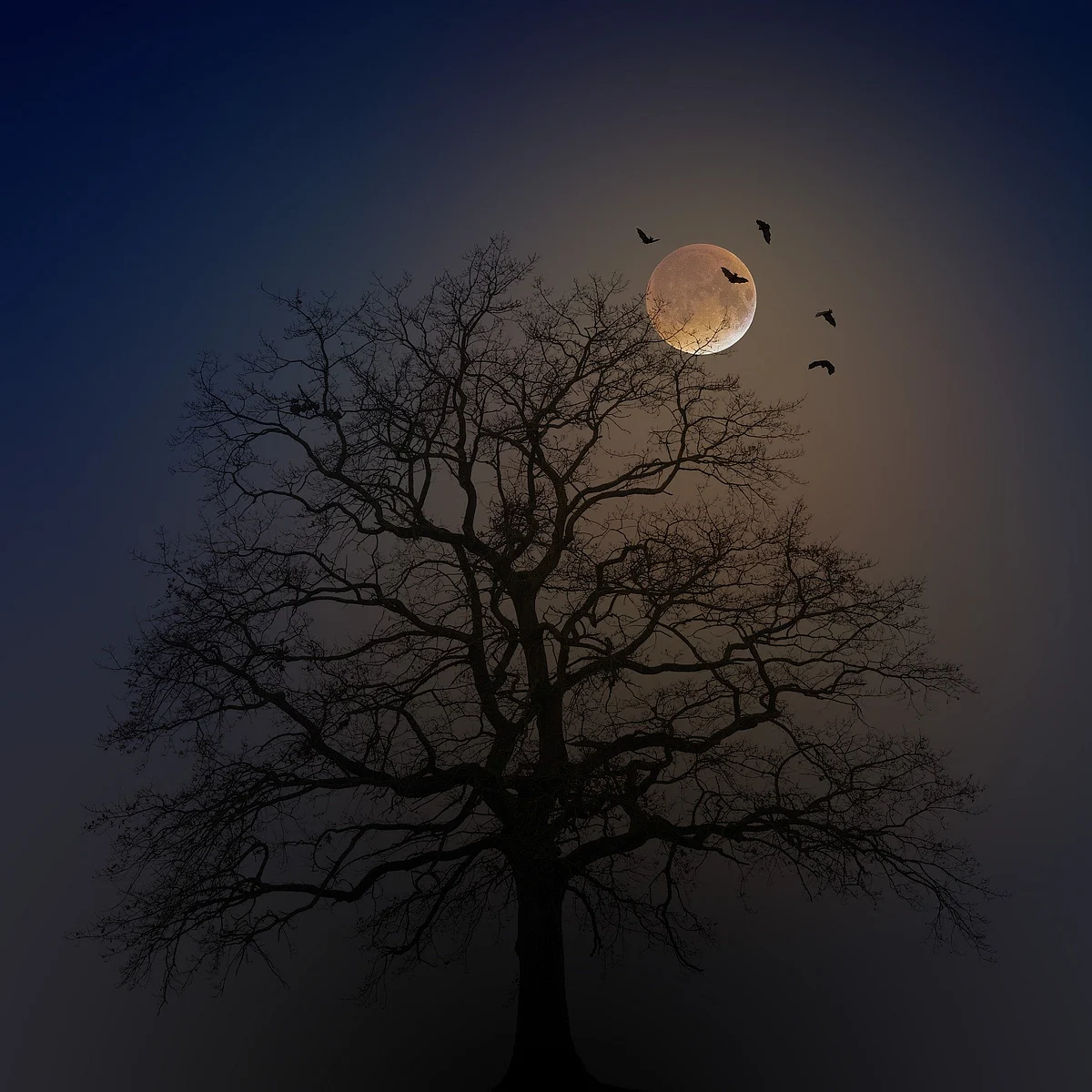 Representational Image