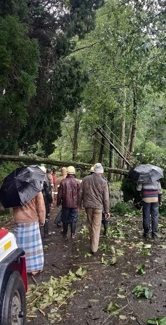 An uprooted tree that was blocking a road near Ooty being cleared by fire and rescue service personnel.
