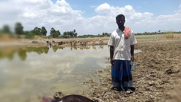 குளத்தின் அருகே உயிரிழந்த ஆடு