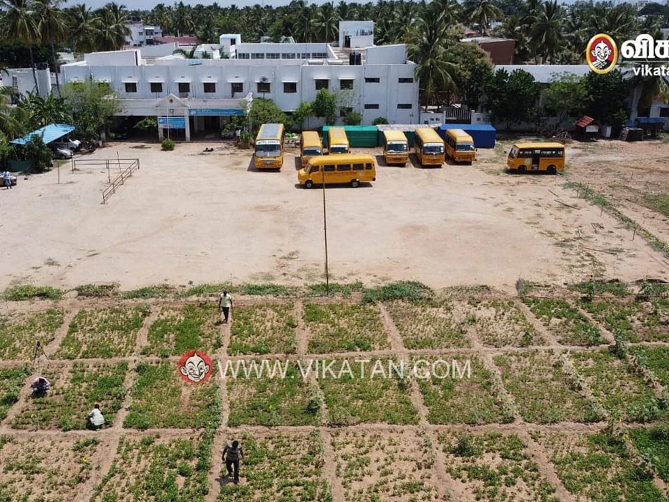 ஆசிரியர்களின் ஆன்லைன் கல்வியும், ஆஃப்லைன் விவசாயமும்... பள்ளிக்குள் ஒரு பசுமை புரட்சி!