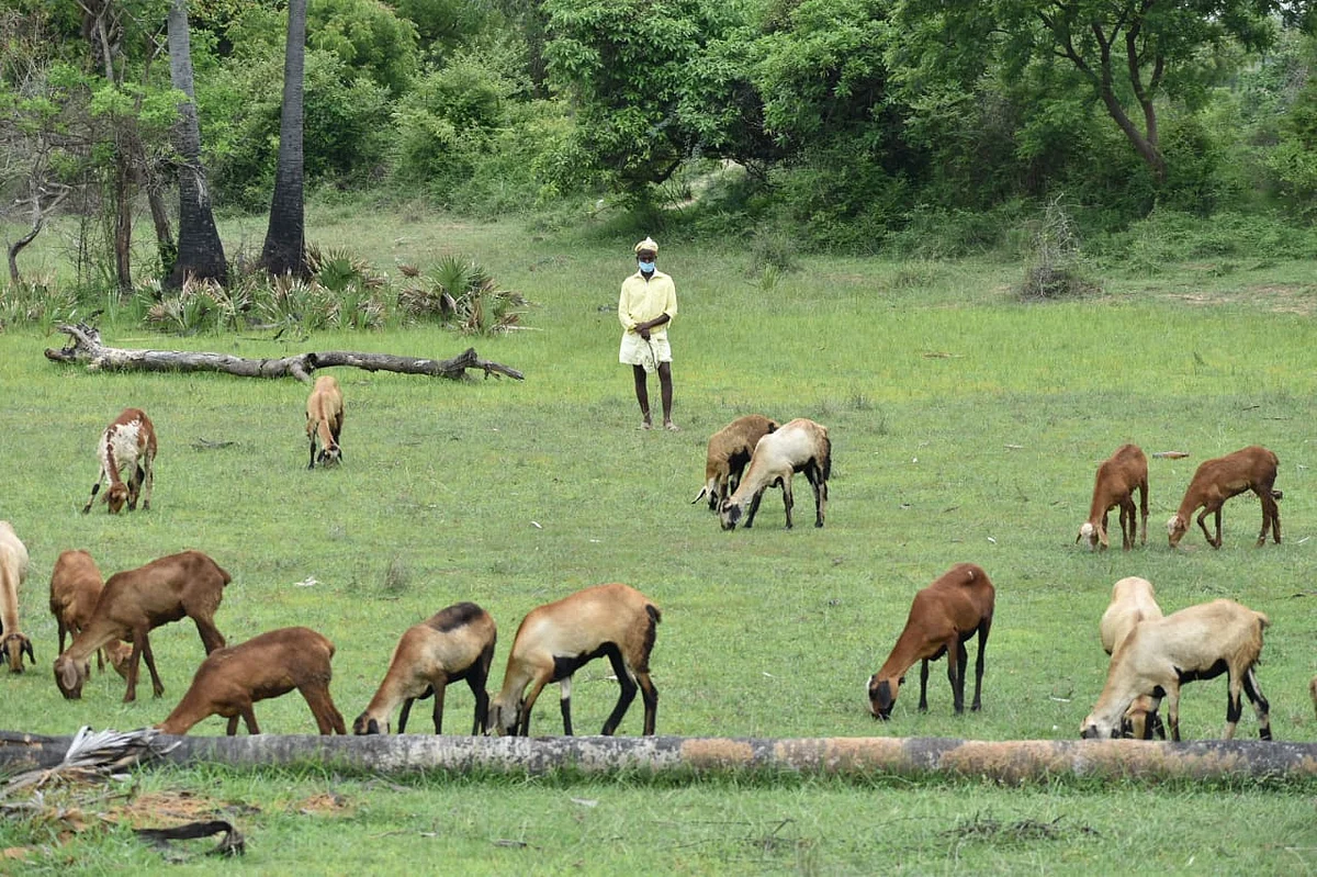 துளசிதாசன்