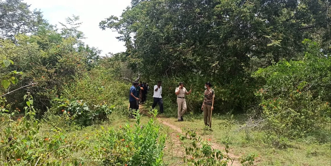 புலித் தாக்குதல்
