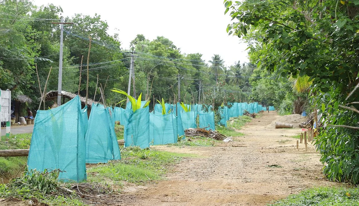 கிராமம்