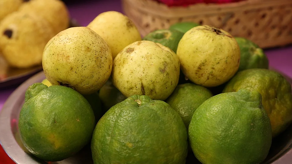 கொய்யா