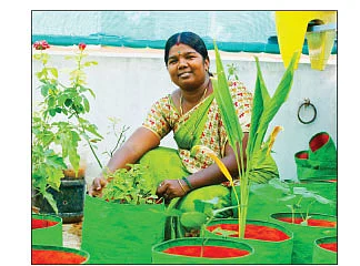 “மாடித்தோட்டமும் ஒரு பாடசாலை தான்!” - பிருந்தா