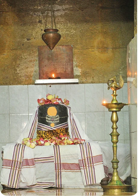 ஶ்ரீகுணம் தந்த நாதர்