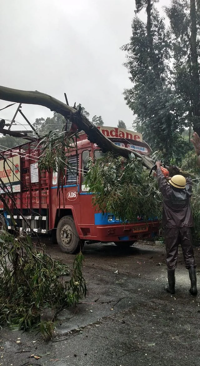 An uprooted tree that was blocking a road near Ooty being cleared by fire and rescue service personnel.