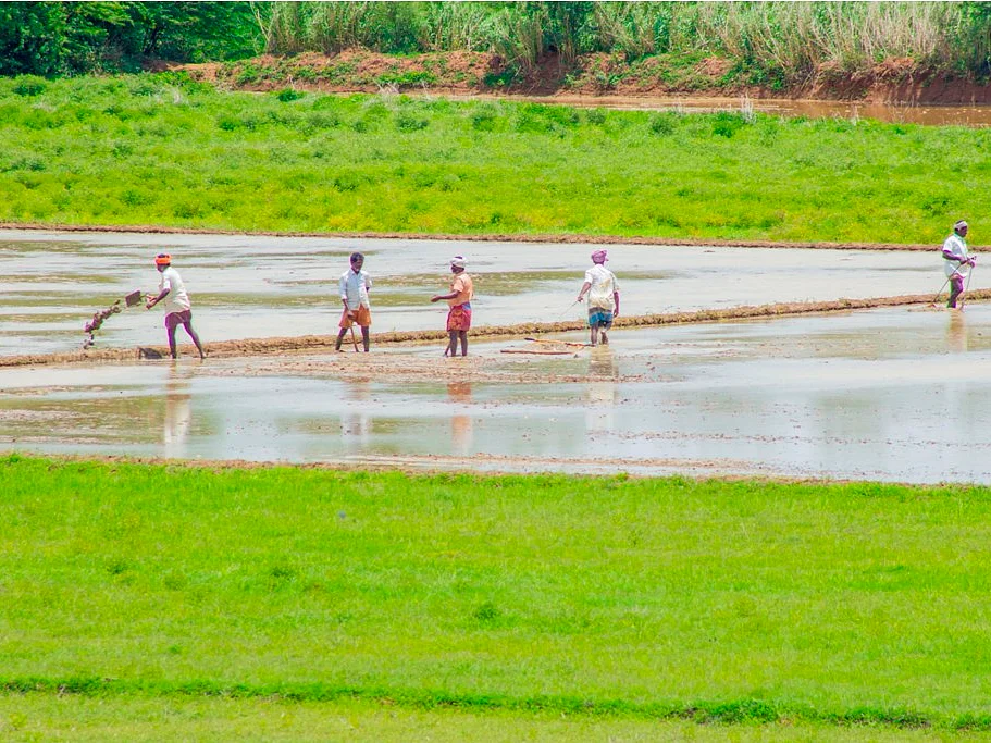பாதுகாக்கப்பட்ட வேளாண் மண்டலம்: விவசாயிகள் இல்லாத வல்லுநர் குழு ஏன்?