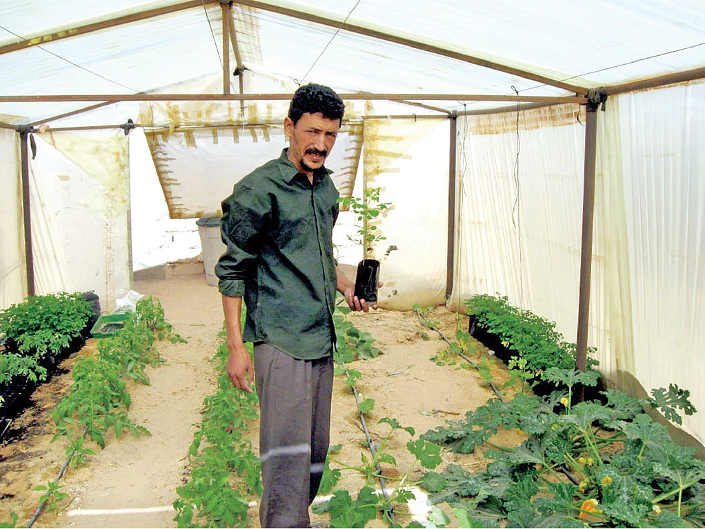 பசுமைக் குடிலுக்குள் தலேப்