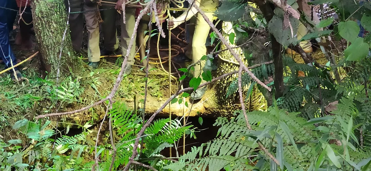 மீட்புப் பணி