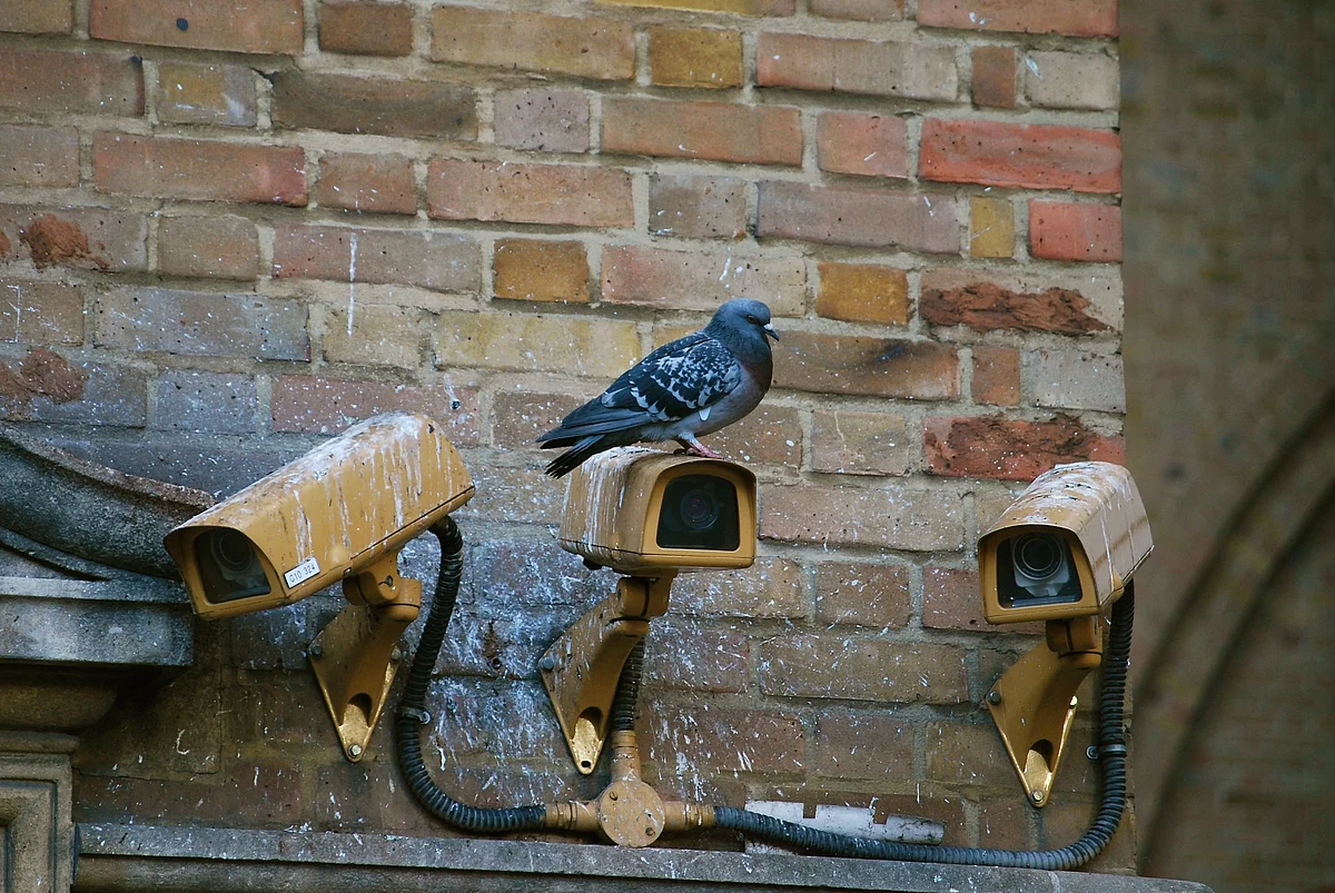 Representational Image