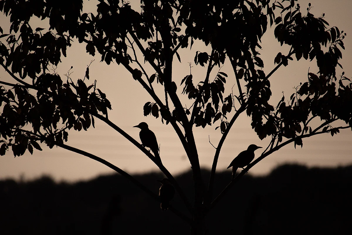 Representational Image
