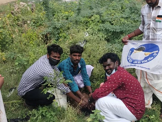 கரூர்: `கிரீன் குளித்தலை சேலஞ்ச்; 60 கிராமங்களில் மரக்கன்றுகள்!’ அசத்தும் விஜய் ரசிகர்கள்