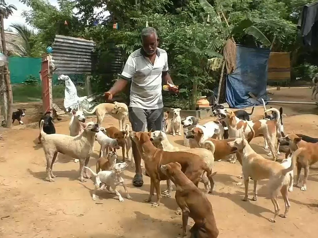 நாட்டு நாய்களுக்கெல்லாம் இவர் காவல் தெய்வம்..! - நாகை கூலித் தொழிலாளியின் மறுபக்கம் #MyVikatan