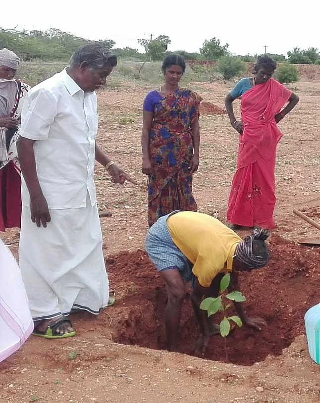 மரக்கன்று நடும்போது கந்தசாமி