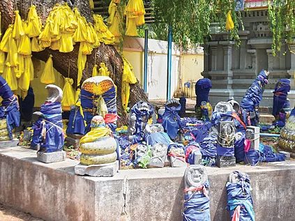 திருப்பங்கள் அருளும் திருப்பாம்புரம்!