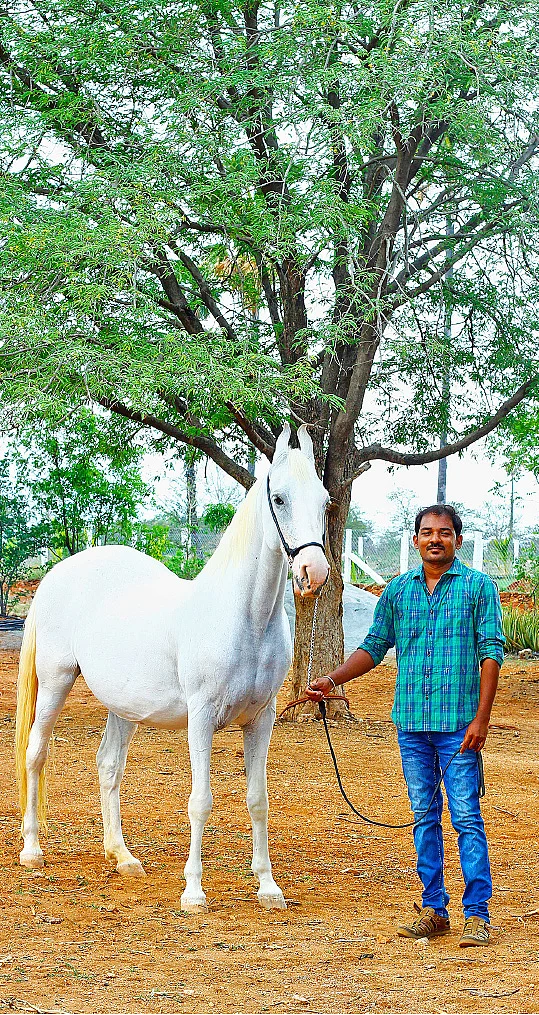 குதிரையுடன் சரவண பிரபு