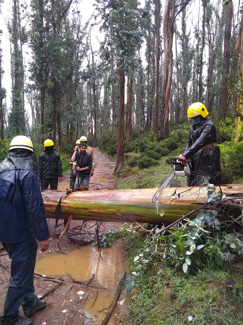 An uprooted tree that was blocking a road near Ooty being cleared by fire and rescue service personnel.