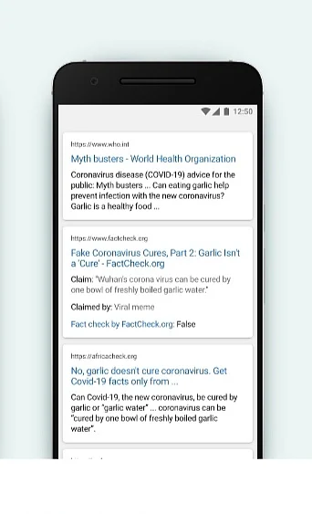 Search the Web option