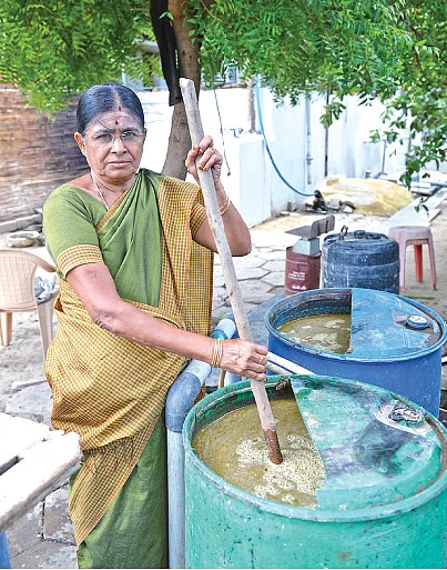 இயற்கை வேளாண்மை - 12: பயிர்களின் தற்காப்பு கவசம் தசகவ்யா!
